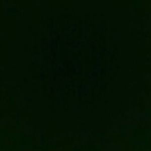 Meet your Posher, Cuzzoo